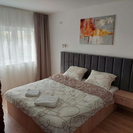 Ela'S Apartment Băile Herculane Eksteriør bilde